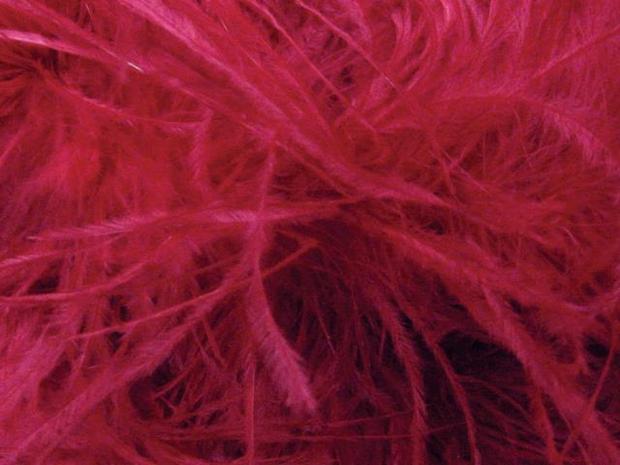 OSTRICH FEATHER FRINGE CHERRY RED