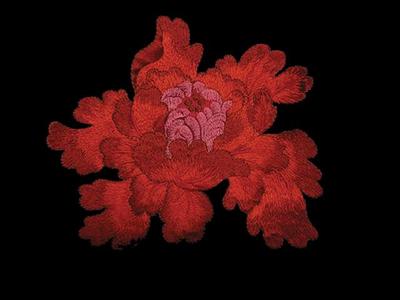 PASSION EMBROIDERED MOTIF RED