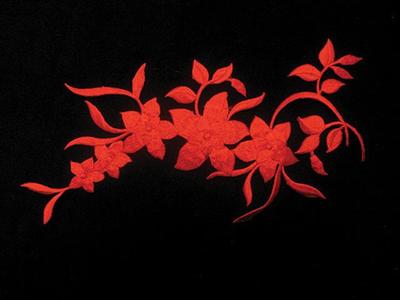 GLAMOUR EMBRDED MOTIF RED