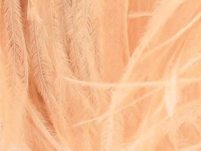 OSTRICH FEATHER FRINGE CHAMPAGNE